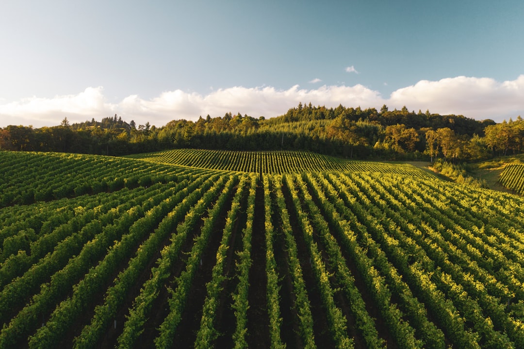 Agriculture