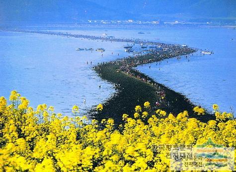 제 44회 진도 신비의 바닷길 축제 기본일정 및 프로그램 소개