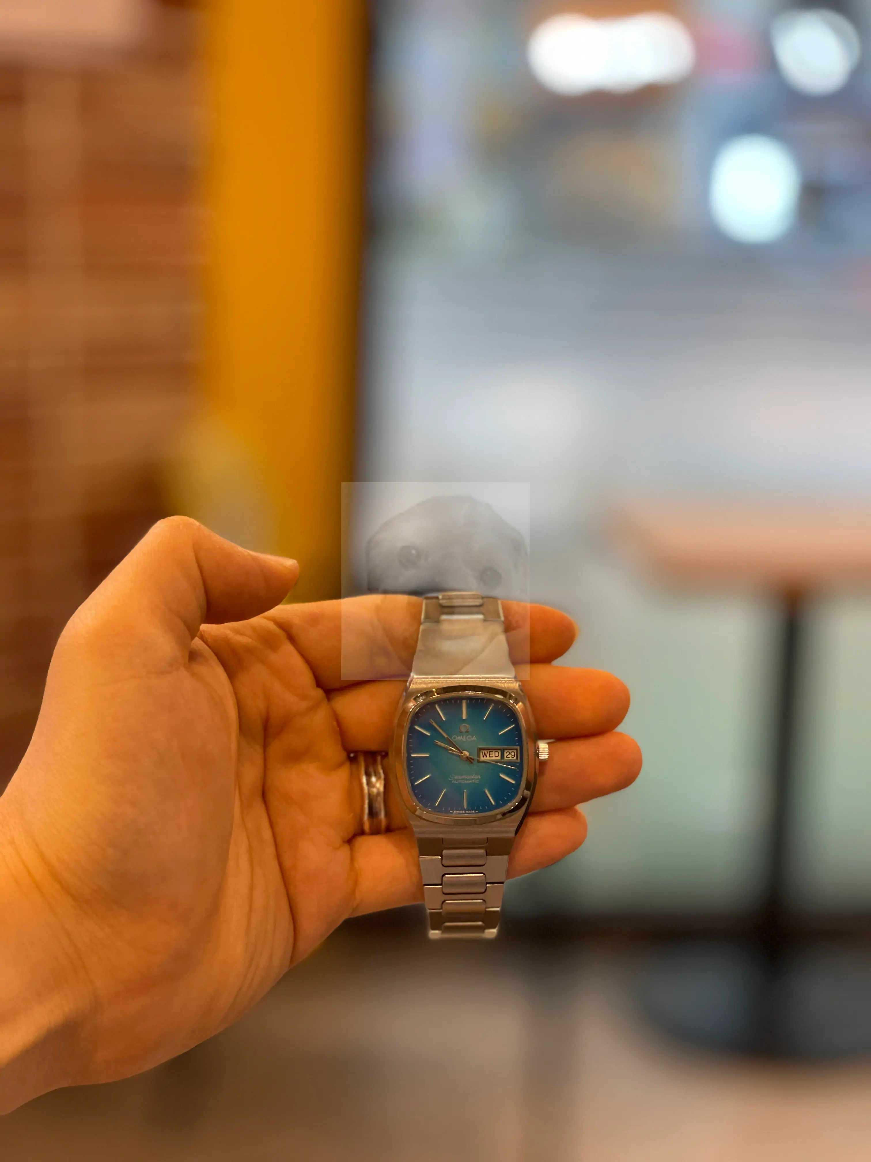 아이폰 촬영 전 아웃포커스 활용한 사진