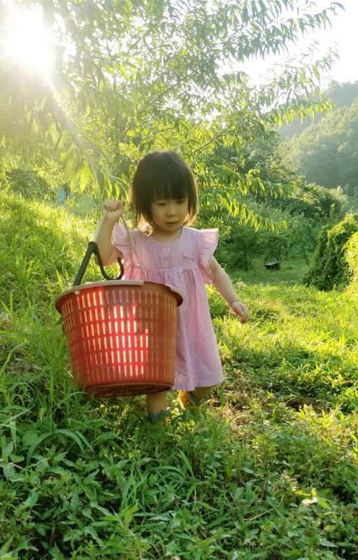 쿠앙이가 빨간 장화를 신고 빨간 수확용 바구니를 들고 농장을 걷는 사진