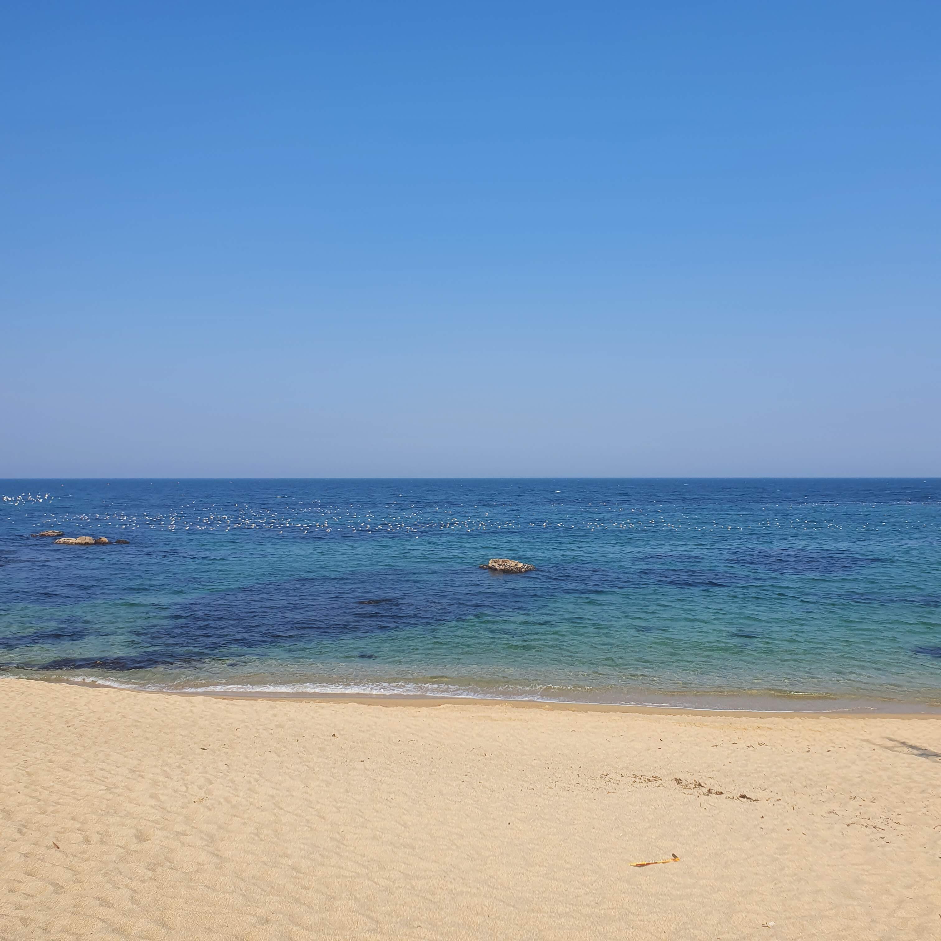 순긋해변 사진