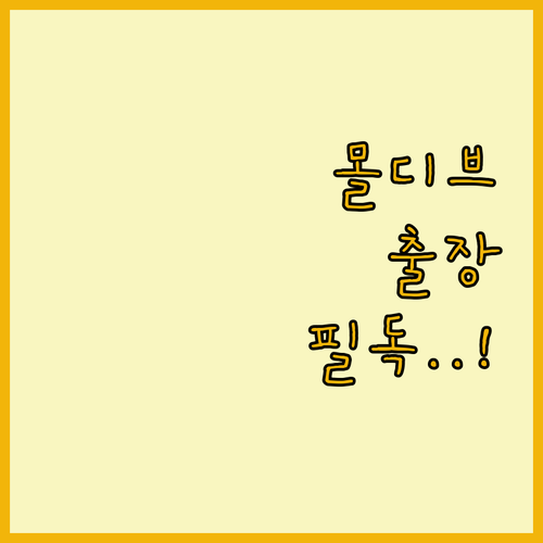 훌후말레 비즈니스 호텔 추천과 몰디브..