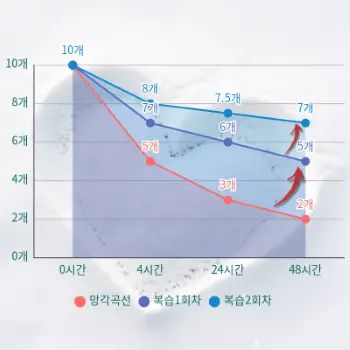 복습2회 효과로 장기기억되는 단어수의 상승 변화 그래프