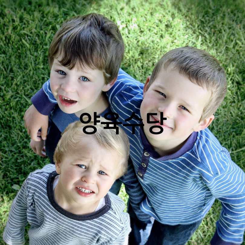 보육료&amp;#44; 양육수당&amp;#44; 유아학비 사전신청 방법
