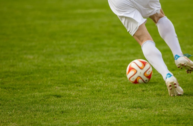 잔디 위의 축구공