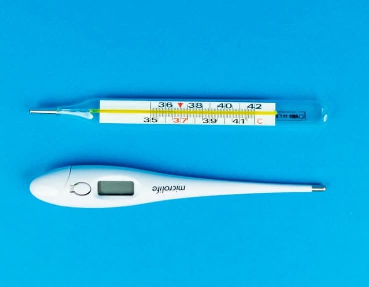 면역력과 체온의 관계