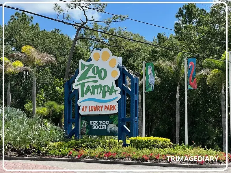 Zoo-Tampa-앳-로리-파크