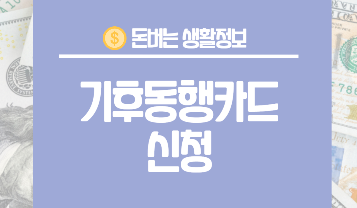 기후동행카드 혜택