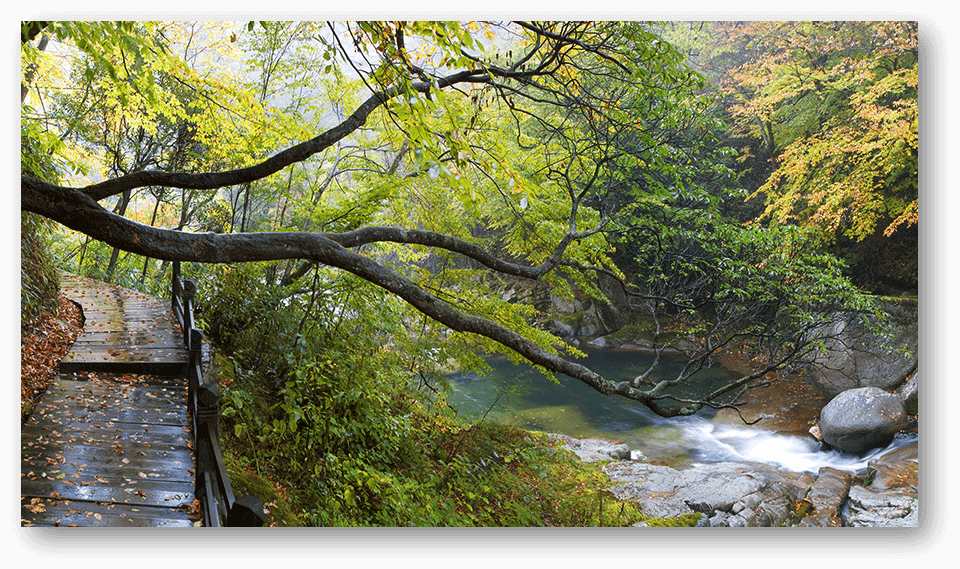 덕구리조트-산책로