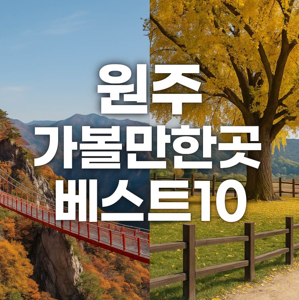 원주 가볼만한곳 베스트10