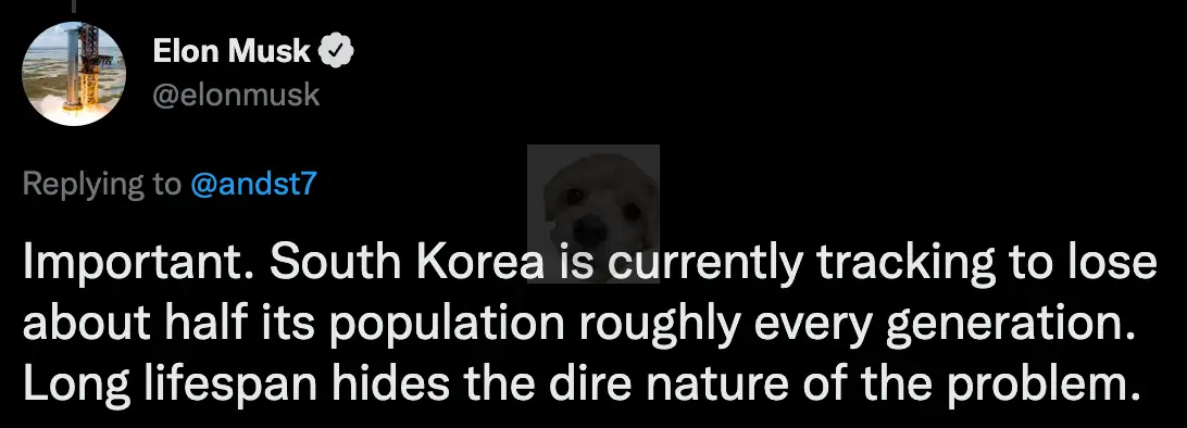 일론머스크 트위터 발췌