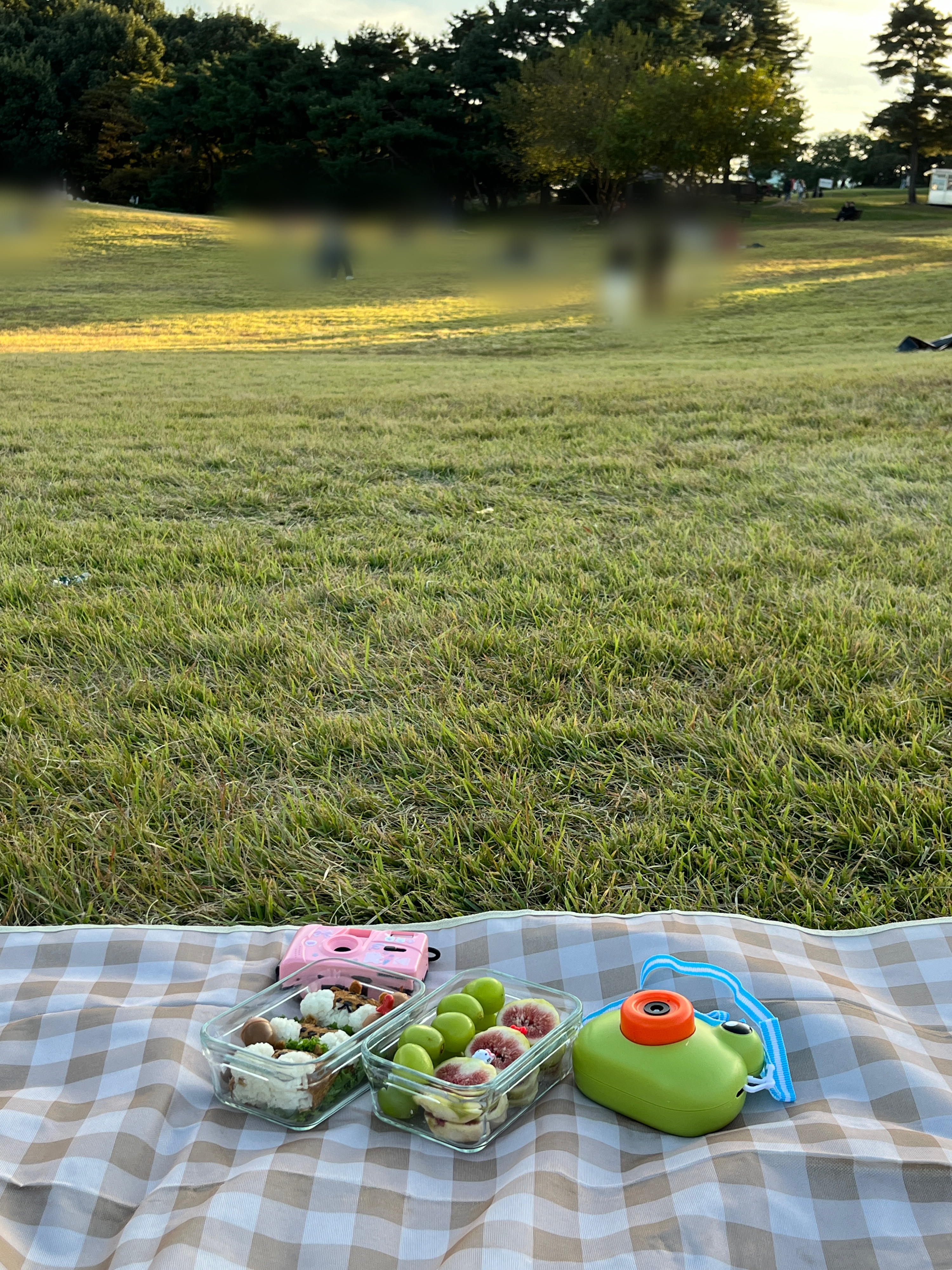 올림픽공원 나홀로나무