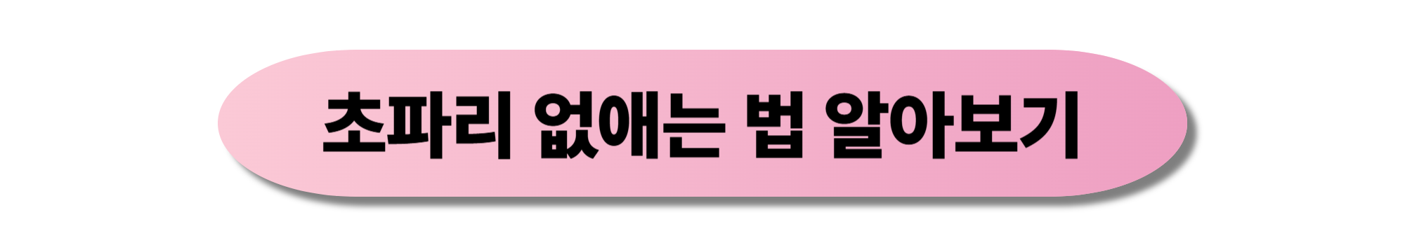 초파리 없애는 법