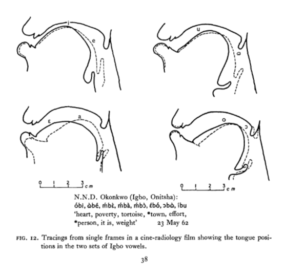 A phonetic study of west African languages (p. 38)