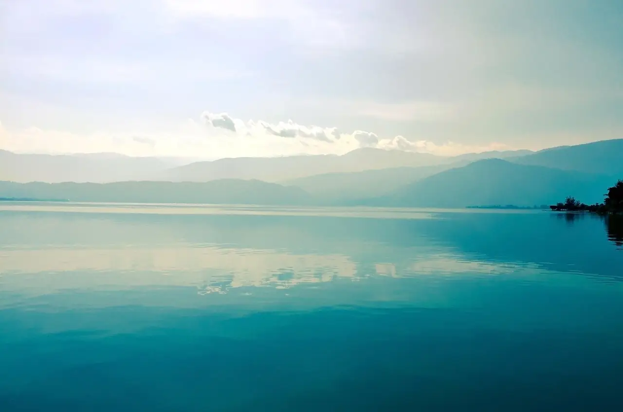 동충하초 효능 제대로 알기