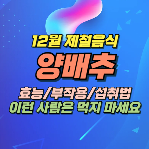 양배추 효능 부작용