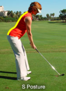 골프 S-자세 사진