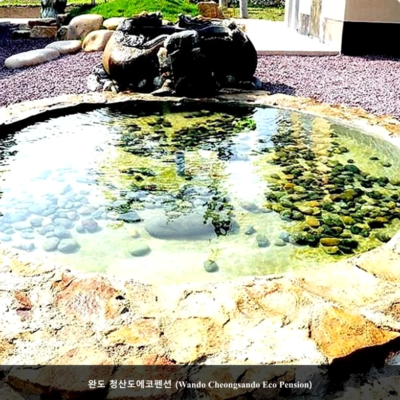 완도 청산도에코펜션 (Wando Cheongsando Eco Pension)_5