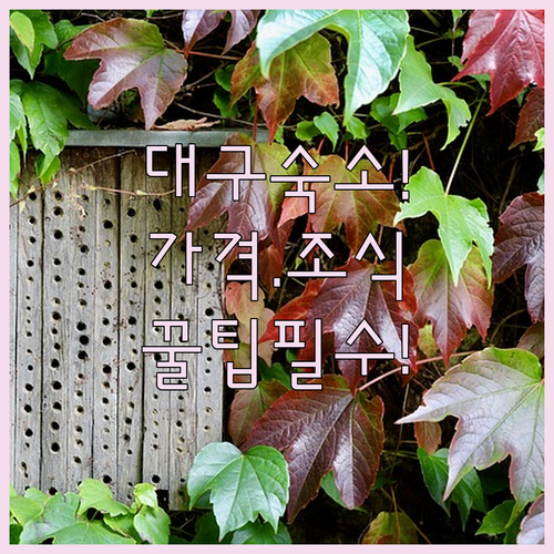 대구 가성비 호텔 BEST 5 위치 ..