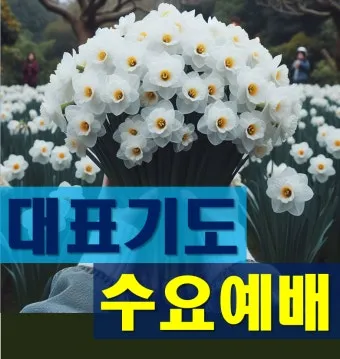 2025년 11월 둘째주일 낮예배 대표기도문 예문_11