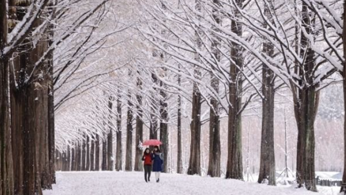 1월 전라남도 가볼만한곳 추천 ❘ 새해 신년 국내 겨울 여행지 ❘ 전라도 명소 ❘ 가족 실내 데이트