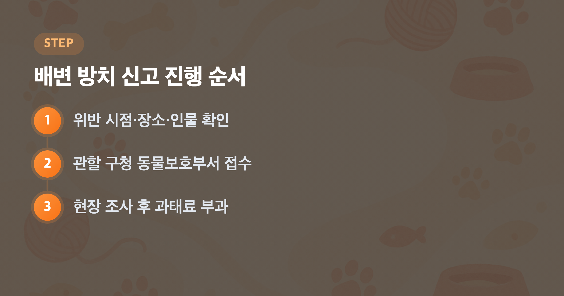 배변 방치 신고 진행 순서: 위반 시점·장소·인물 확인, 관할 구청 동물보호부서 접수, 현장 조사 후 과태료 부과