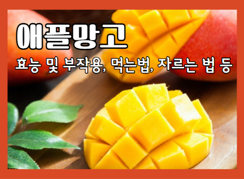 애플망고 효능 9가지와 부작용 및 애플망고 자르는법&#44; 칼로리