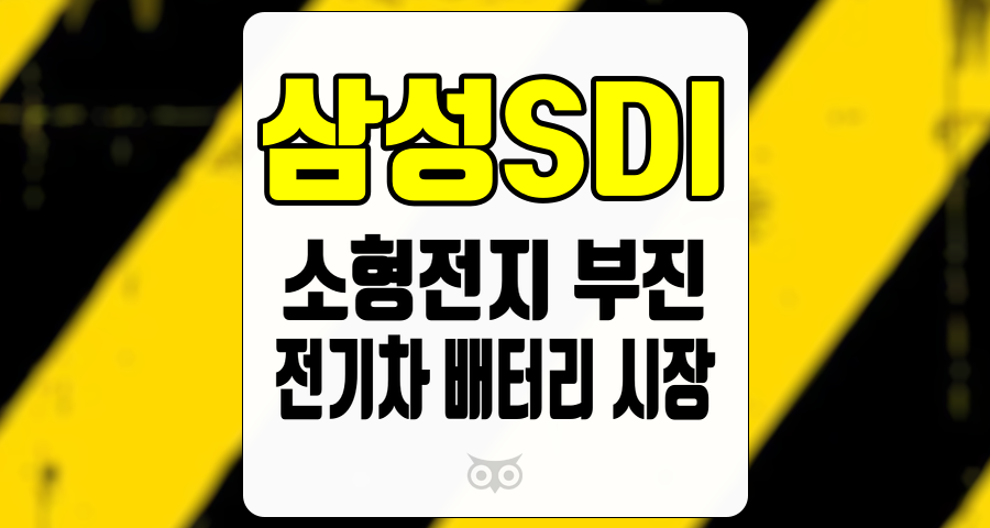삼성SDI, 전기차 배터리 시장의 변화와 소형전지 부문 부진 분석