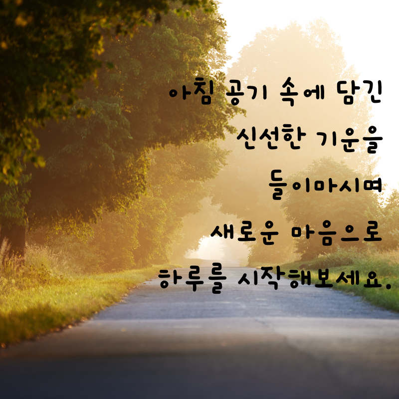 기분 좋은 아침 인사말 문구 이미지 모음