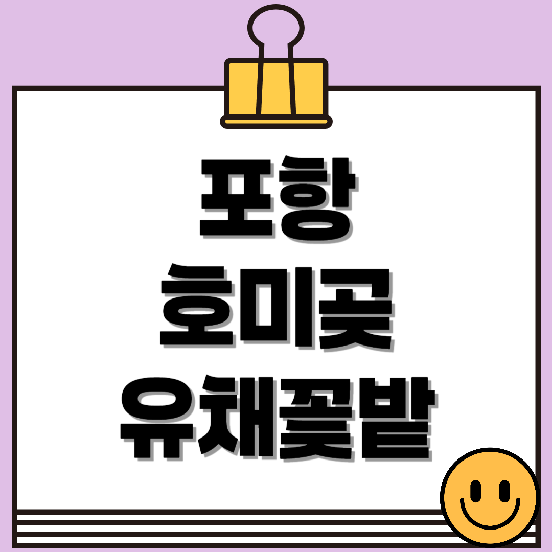 포항 호미곶 유채꽃밭, 지금 바로 가야할 꽃놀이 명소🌼