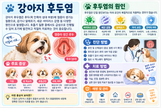 강아지 목소리가 쉬었어요｜후두염 증상과 동물병원 진료 시점