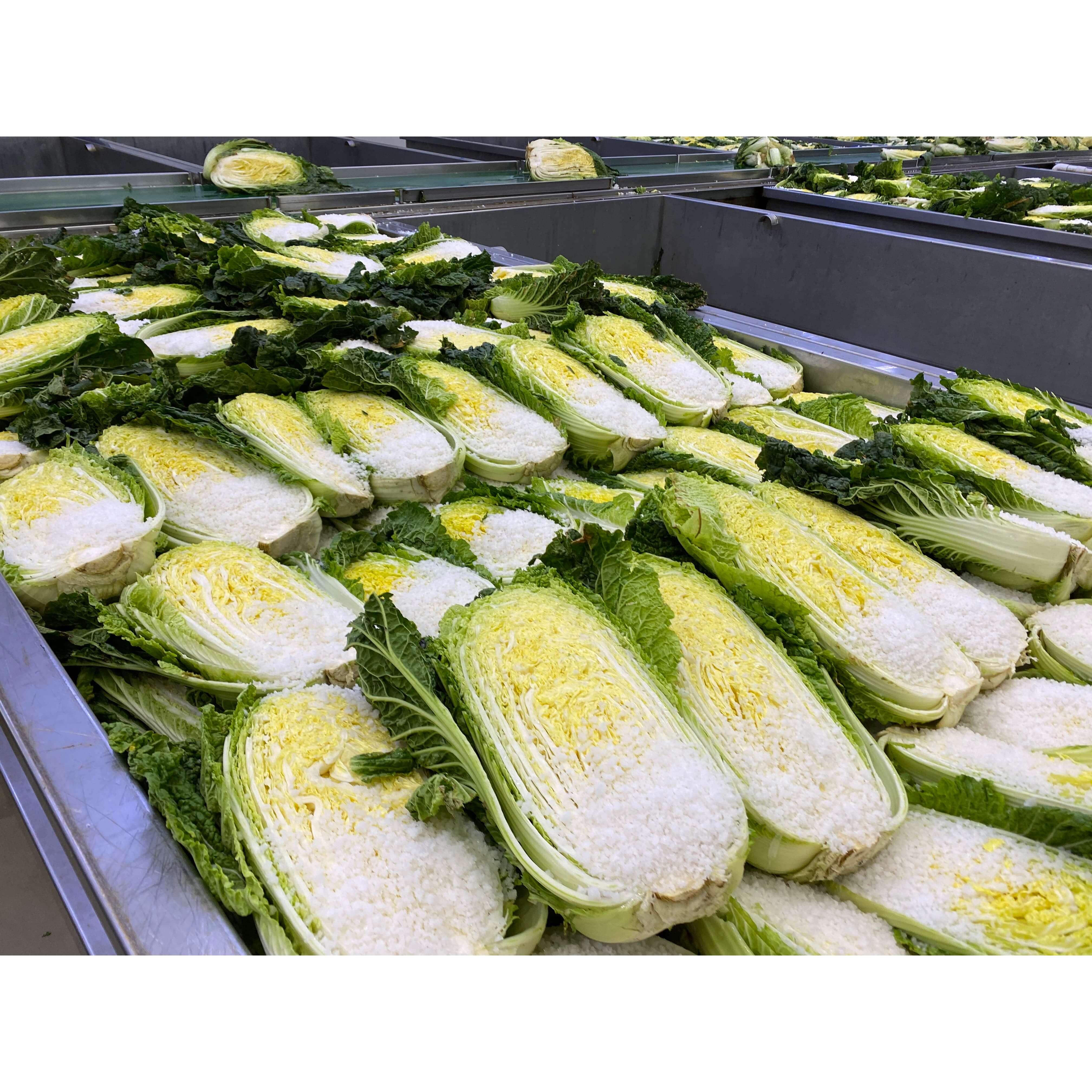 김장 절임배추 온라인 및 대형마트 사전예약