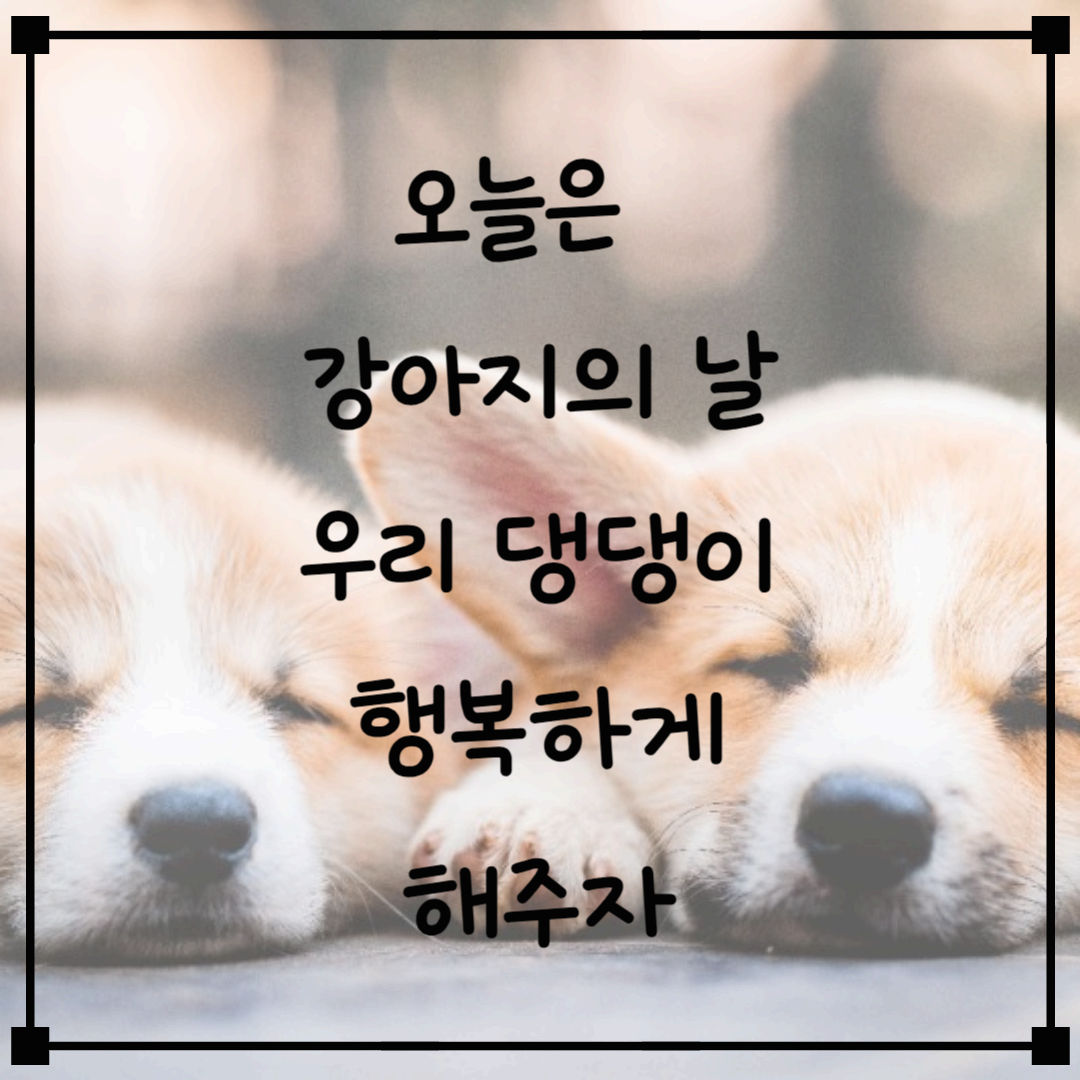 3월 23일은 강아지의 날!