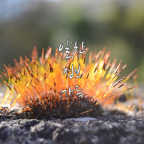 대형폐기물 스티커 이제 안녕! 중랑구..