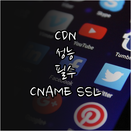 CDN 성능 극대화 자체 도메인 CN..