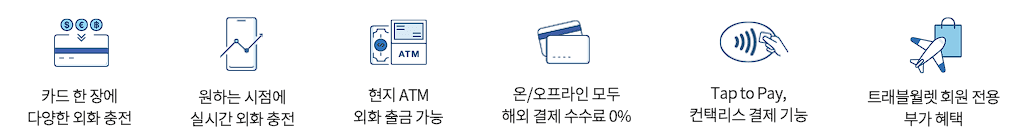 트래블월렛 카드