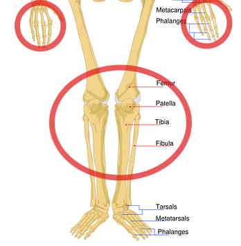 운동 중 관절에서 뚝 소리가 나는 이유