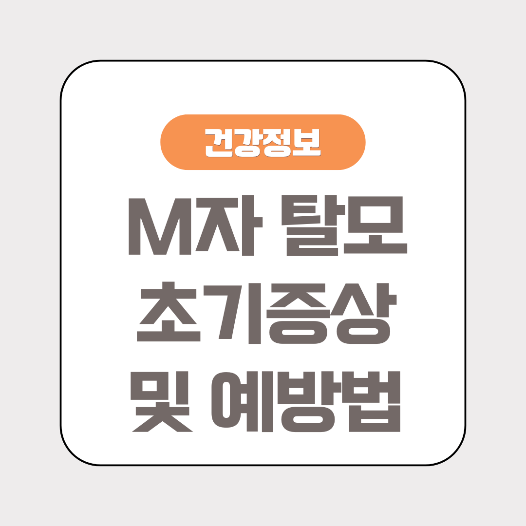 M자 탈모, 초기 증상부터 예방까지 전문가가 알려주는 모든 것