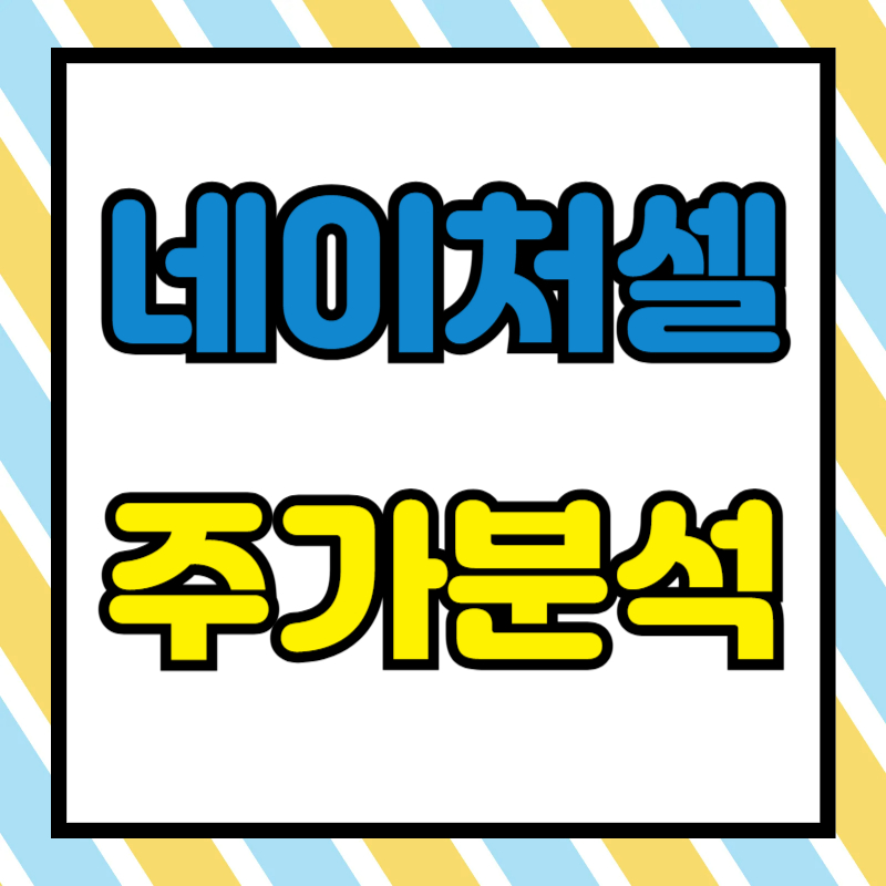 네이처셀 주가분석