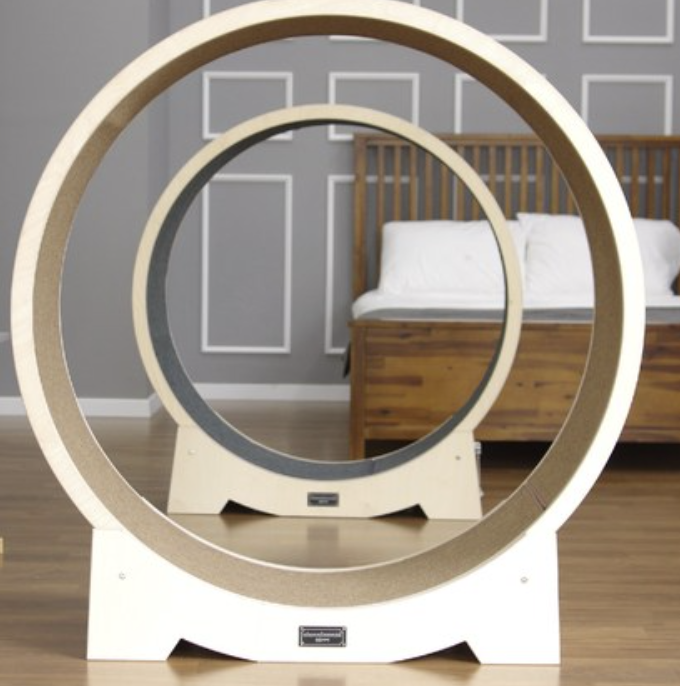 고양이 캣휠 추천 2