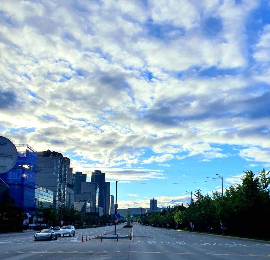 상쾌한-아침입니다.