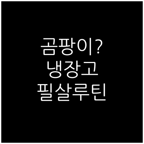 냉장고 고무패킹 곰팡이 제거와 예방 ..