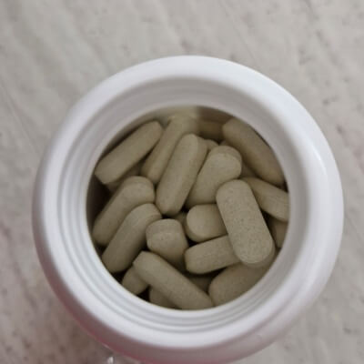 콘드로이친 정제