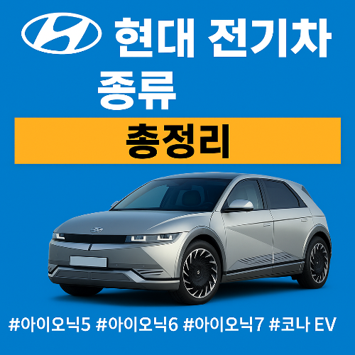 현대 전기차 종류