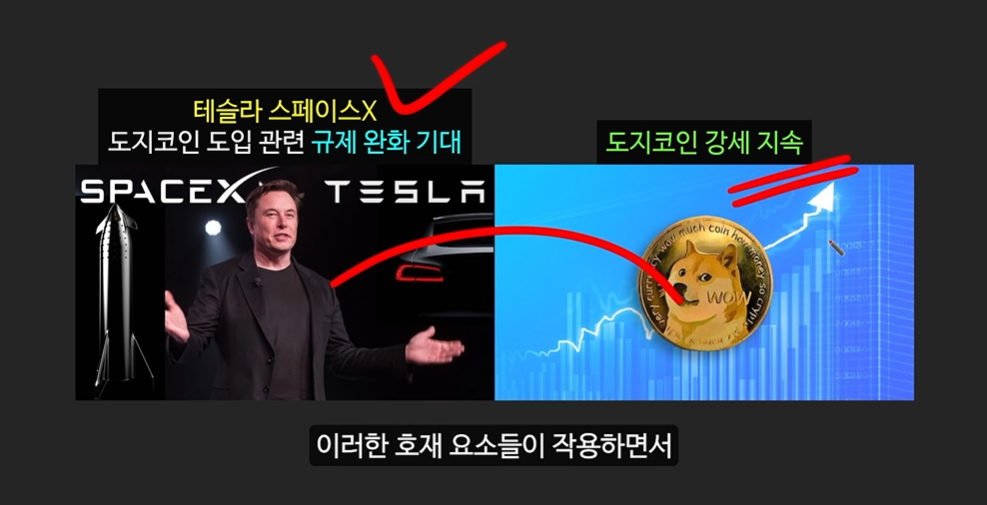 일론 머스크의 충격 발언과 도지코인, 플로키코인, 위프코인, 피넛코인, 프레드 코인의 강력한 상승 가능성 분석