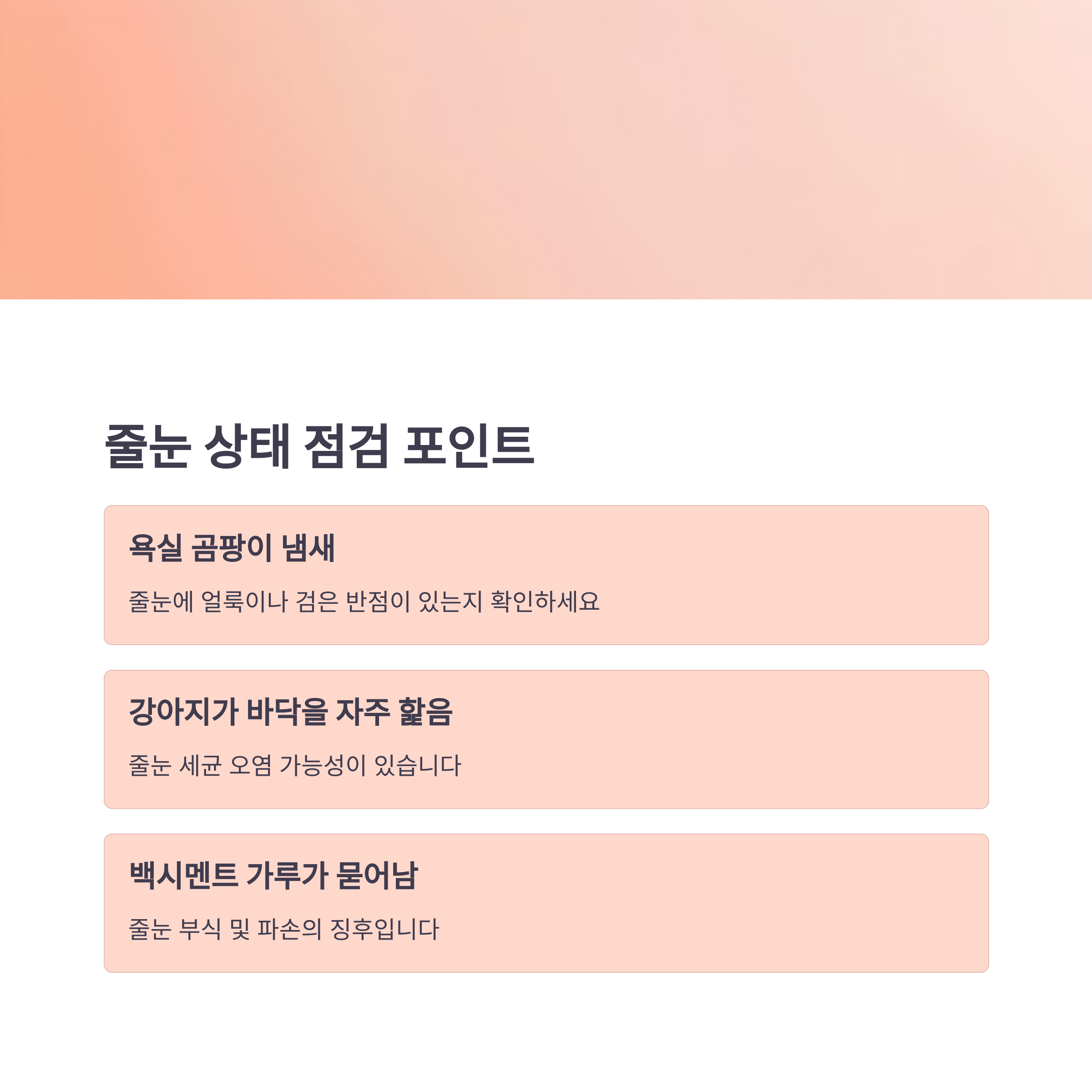 줄눈 곰팡이, 강아지 건강에도 해로울 수 있습니다