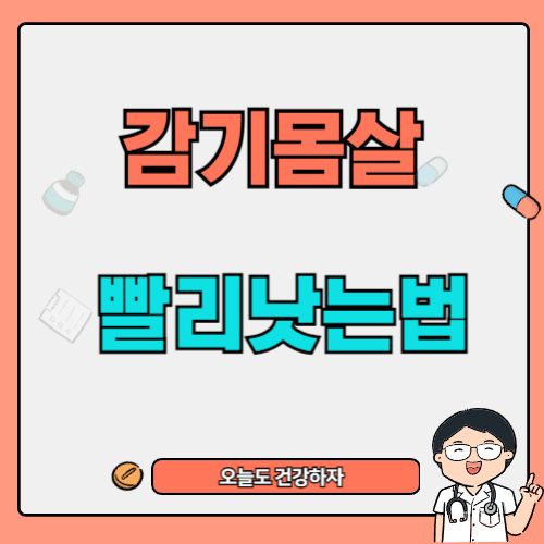 감기 몸살 빨리 낫는 법