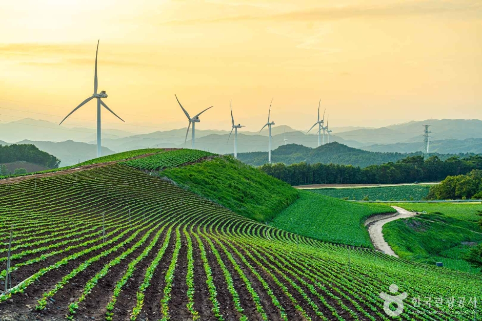 영양 가볼만한곳 베스트10
