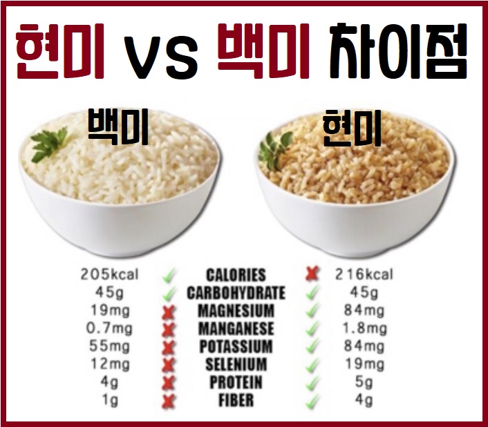 현미 백미 차이점