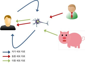 세포 치료
